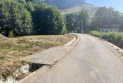Teren de 700 mp, în Livezile - 3