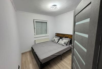 Apartament cu 2 camere semidecomandat în Horea