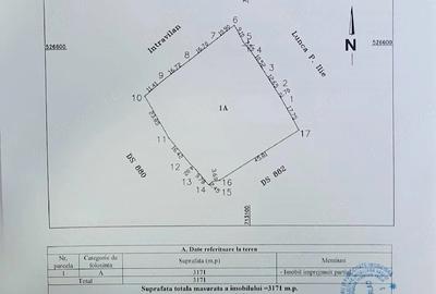 Teren de 3171 mp, în Fruntișeni - 1