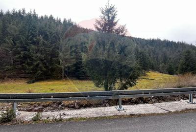 Teren Construcții intravilan de 4331 mp, în Arieșeni - 10