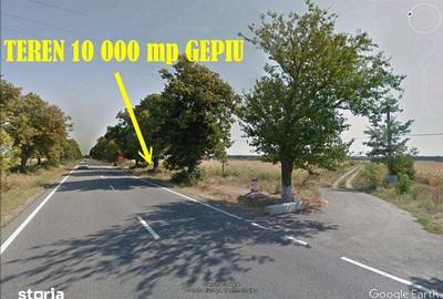 Teren de 10000 mp, în Gepiu - 1