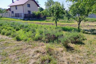 Teren de 870 mp, în Central