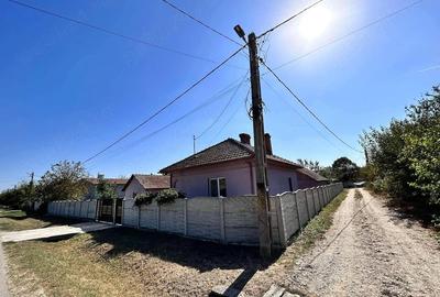 Casă cu Teren 3000 Mp în Arginești - 2