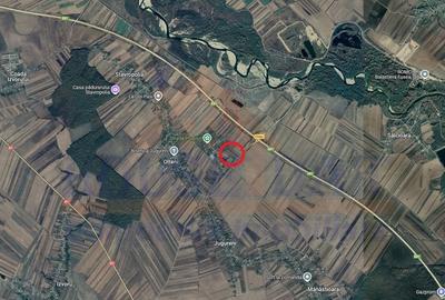 Teren agricol intravilan de 12400 mp, în Olteni (Uliești) - 4