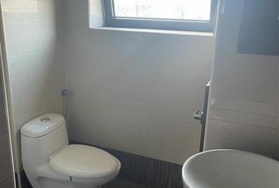 Apartament cu 3 camere semidecomandat în Unirii - 9