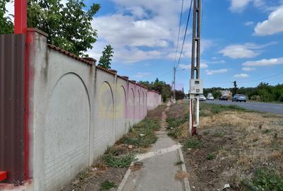 Movilita (IL)-teren de inchiriat aprox. 2 ha stradal, lan... - 18