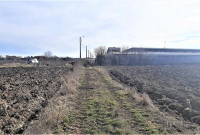 Otopeni - Strada Alexandru Ioan Cuza - 5