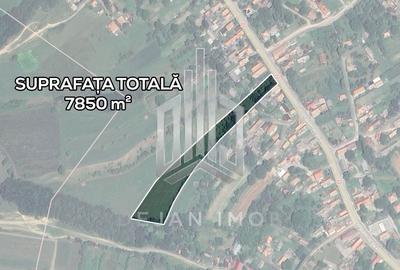 Teren Intravilan | 7.850 mp | Turia - 3