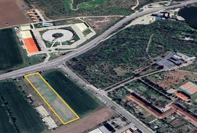 Teren de 5000 mp, în Snagov