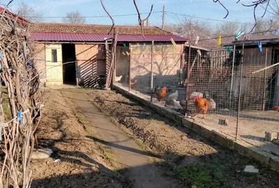 Casa de vanzare - 7