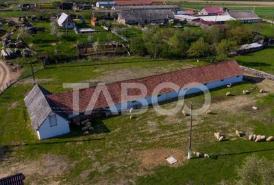 Casă cu 3 camere cu Teren 5039 Mp în Pianu