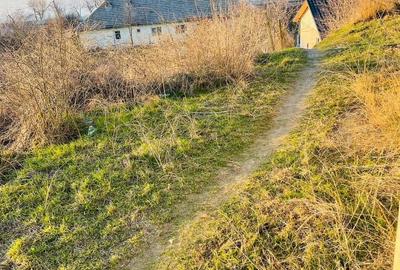 Spațiu comercial, în Rasova - 7