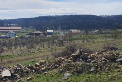 Herneacova-Loc de casa-vedere la lac- 980 mp/1074mp - 2