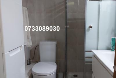 Apartament cu 2 camere decomandat, mobilat în Drumul Taberei - 7