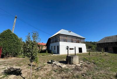 Casa tradi?ionala renovata + 4500 mp teren + livada, anexa, beci - 2