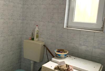 Casă cu 4 camere cu Teren 3113 Mp în Otelec - 15