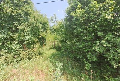 Teren în Central - 11