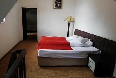 Spațiu comercial, de 6,000 mp, în Moieciu - 7