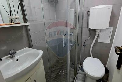 Apartament cu 1 camere de vanzare in zona 1 Mai - 2