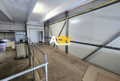 Spațiu industrial, de 560 mp, în Ampoi 1 - 5