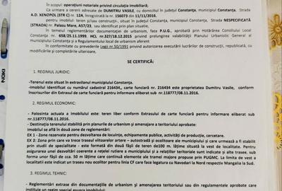Teren de 10000 mp, în Palazu Mare - 3