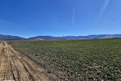 Spațiu comercial, în Prejmer