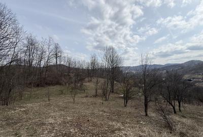 Teren Construcții intravilan de 6040 mp, în Drăgăneasa - 8