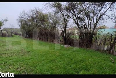 Teren de 3000 mp, în Conțești - 4