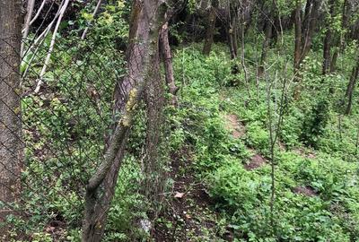 Magurele, teren, zona Cargus, 34 mp deschidere, 30 euro mp, ocazie! Magurele, teren, zona Cargus, 34 mp deschidere, 30 euro mp, ocazie! - 3