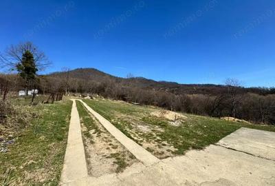 Casă cu Teren 1300 Mp în Central - 12