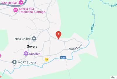 Vand teren extravilan langa Soveja , suprafata 290 mp - 1