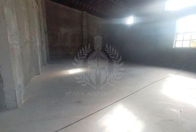 Spațiu comercial, de 962 mp, în Bereasca - 5