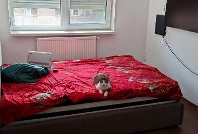 Apartament cu 3 camere decomandat în Casa de Cultură - 5