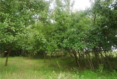 Teren de 7050 mp, în Albota - 5