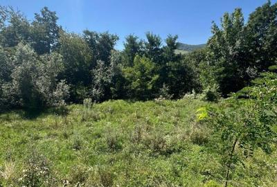 Spațiu comercial, în Sadu