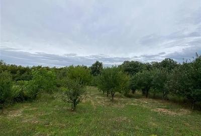 RECO Casa cu teren  in Hidiselul de Sus - 8