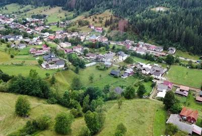 Teren de 6865 mp, în Voroneț - 9