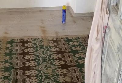 Casă cu Teren 700 Mp în Poienarii-Rali - 9