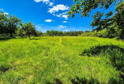 Teren intravilan Cotmeana Arges - 3