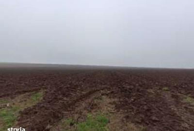 Spațiu comercial, în Limanu - 5