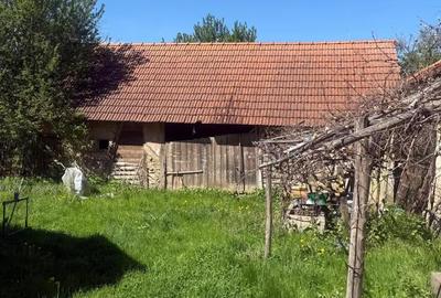 Casă cu 3 camere în Teiu - 1