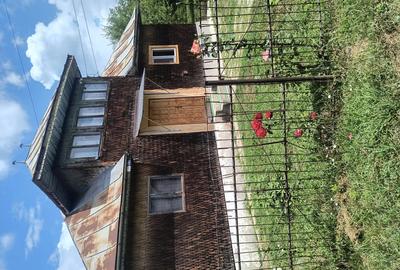 Vand casa cu livada - 2