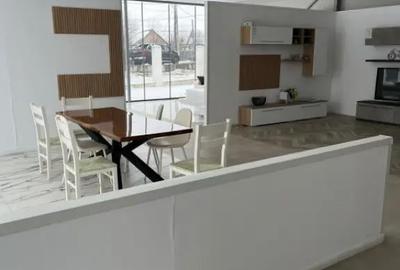 Spațiu comercial, de 460 mp, în Giubega - 4