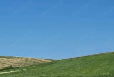 Cota de 1/2 din teren extravilan, comuna Rogova, Jud Mehedinti - 1