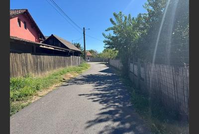 Casă cu 3 camere cu Teren 6299 Mp în Gogoșu - 4