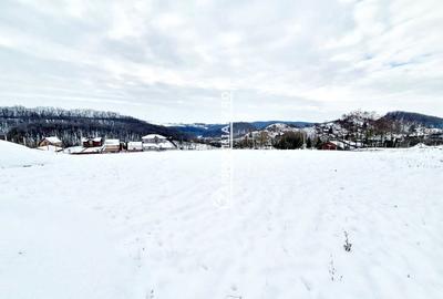 Teren intravilan 1.500 mp. Corunca Valea Iubirii 65 euro mp - 2