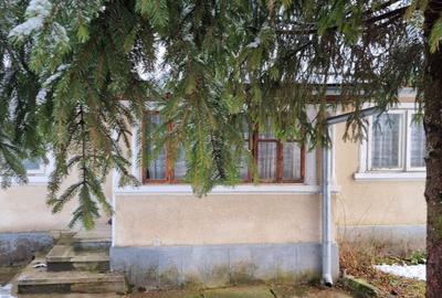 Casa 5 camere+ anexe cu teren 686mp - 4