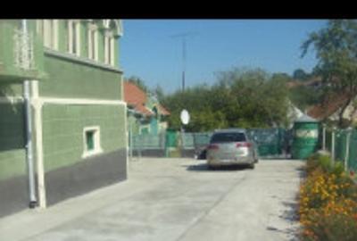 Casă cu 7 camere cu Teren 984 Mp în Silvașu de Sus - 4