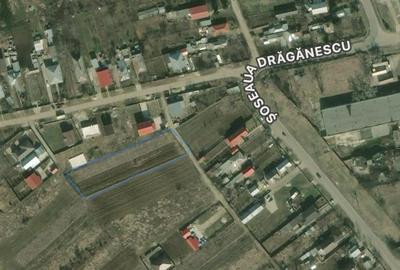 Teren de 2480 mp, în Drăgănescu