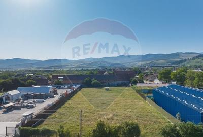 Teren Industrial, 3300 mp,  / DJ 112D, Carpinis - 1